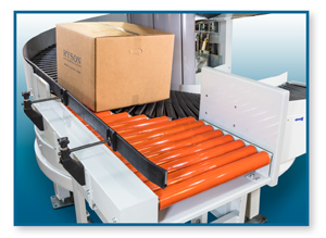 Induction conveyor for Ryson Multiple Entry and Exit Spiral Conveyors